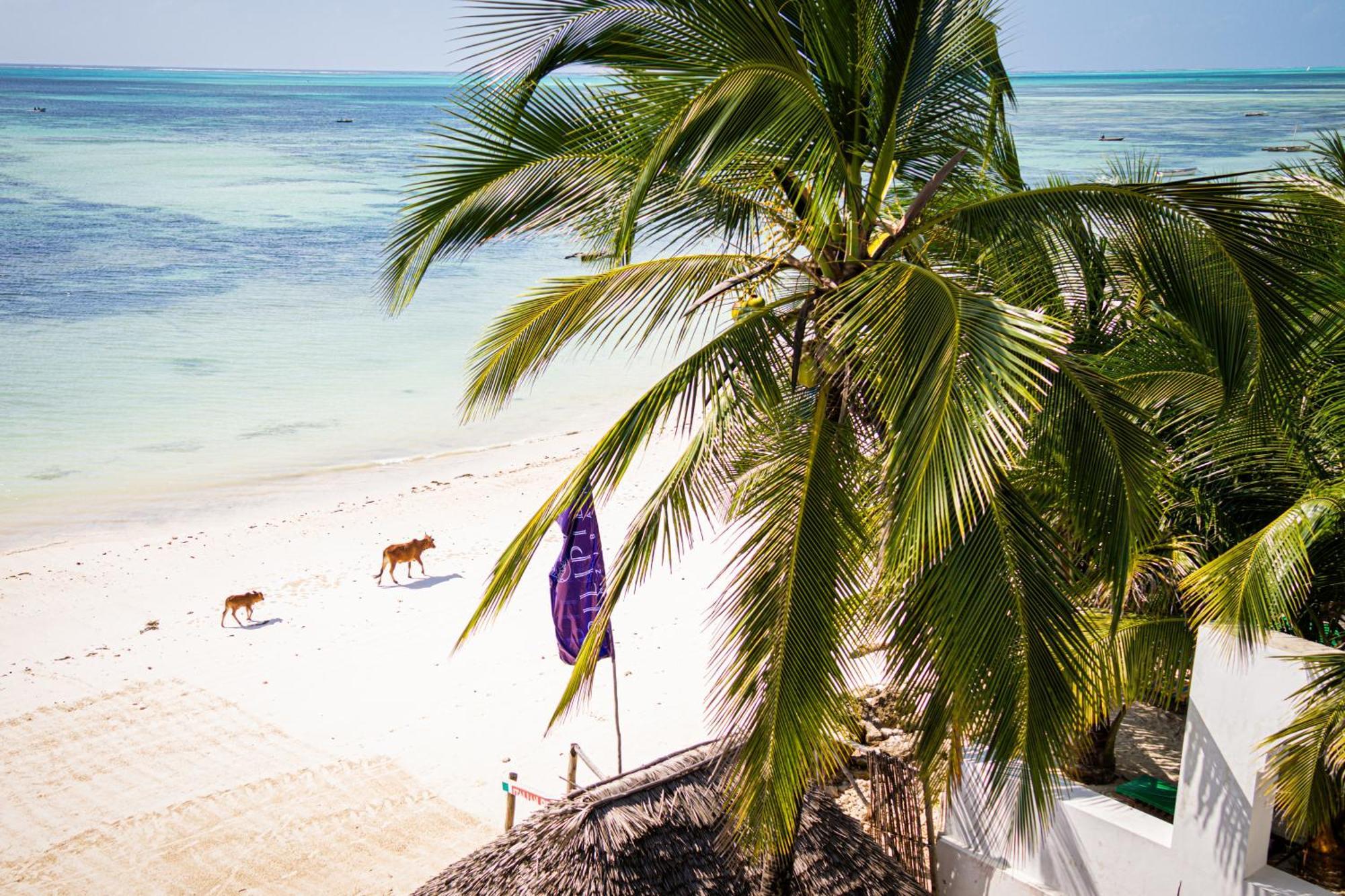 Pili Pili Zanzibar Hotels 江比阿 外观 照片